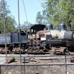 IMG_7916 (May 28, 2024)